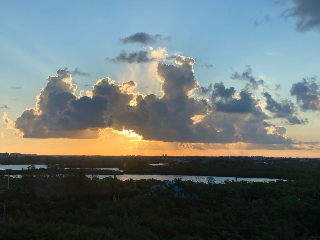 Transform 2 the Max: Life Coach Specializing in Grief Maxine Martin